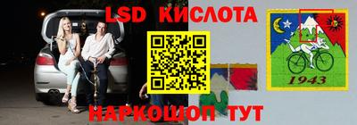 мдпв Камышлов
