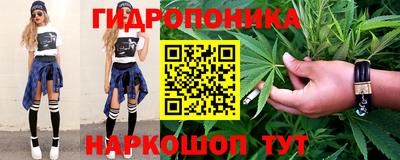 мдпв Камышлов