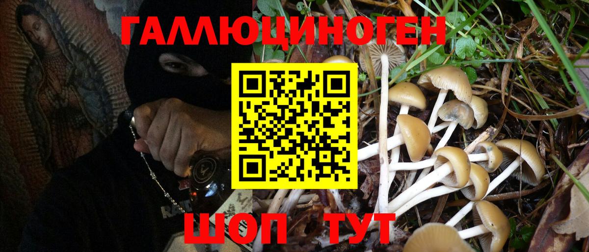 Псилоцибиновые грибы мицелий Красноармейск